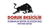 Doruk Besicilik - İzmir